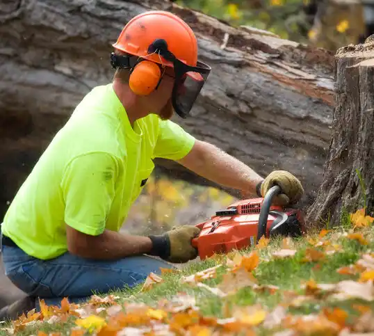 tree services Busby